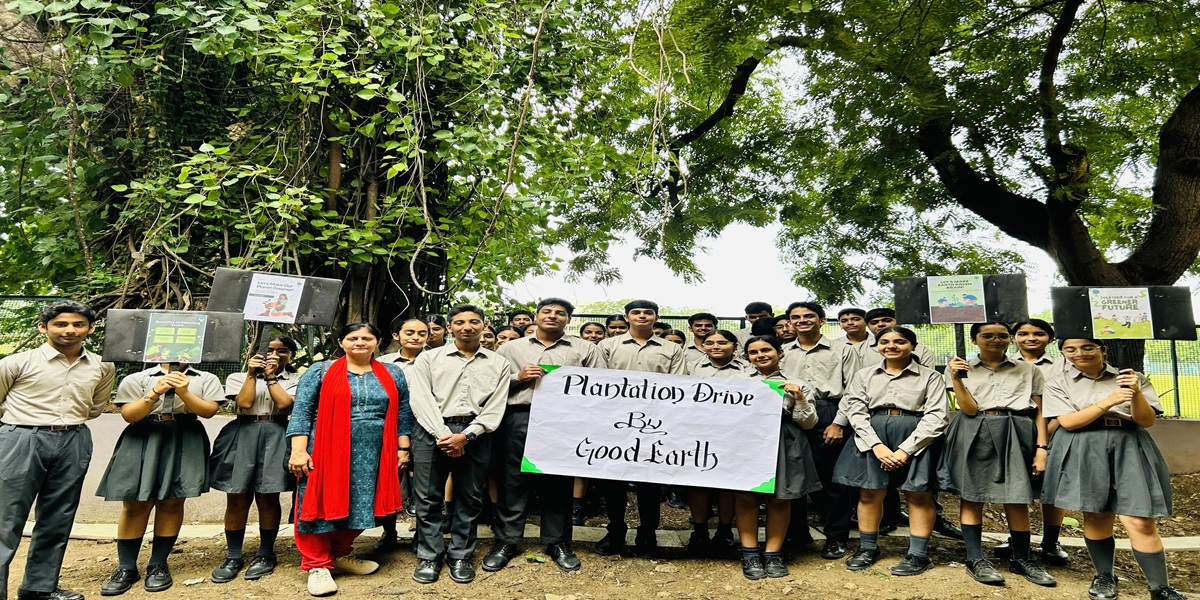 Plantation.jpg