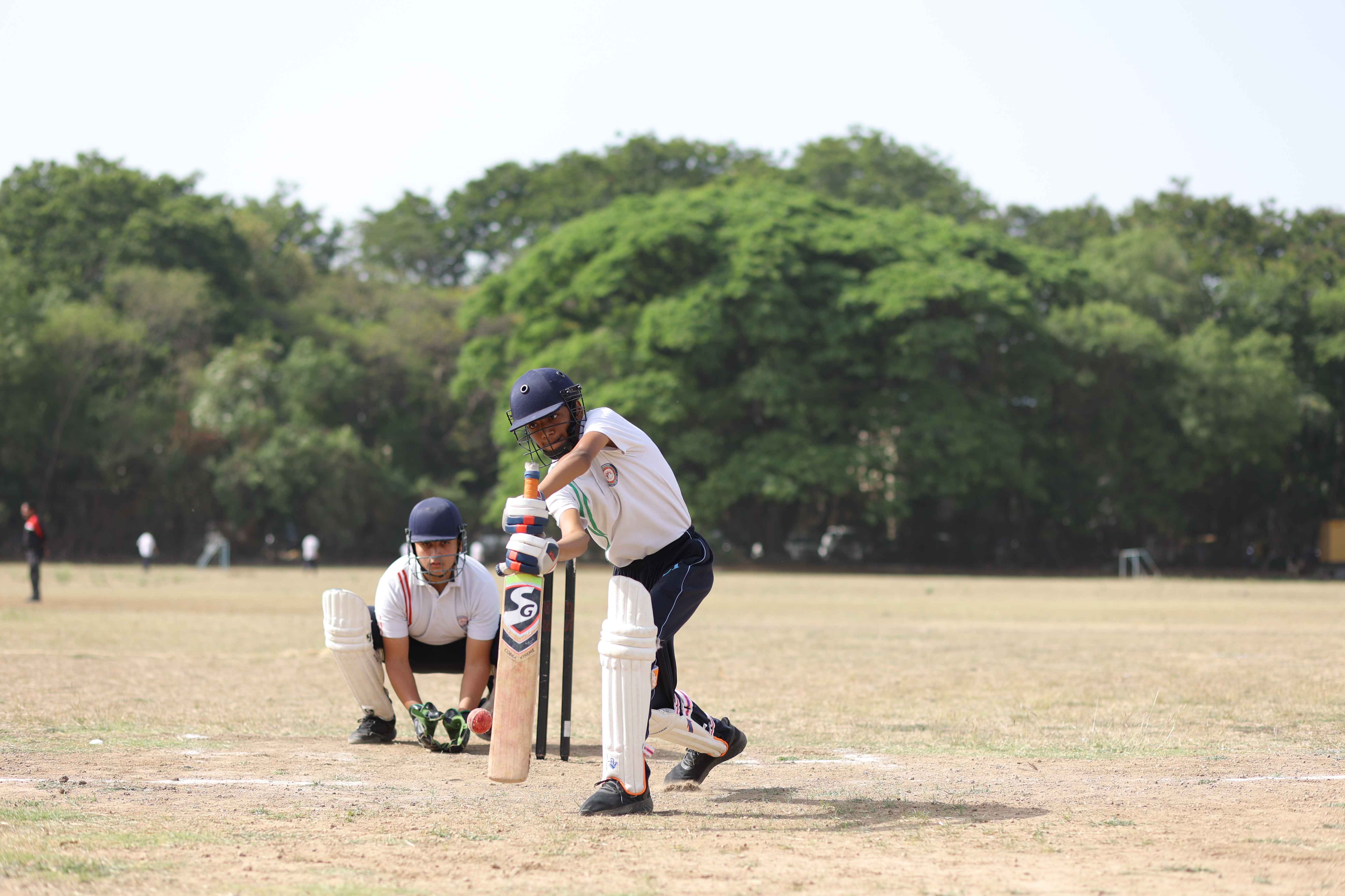 Cricket